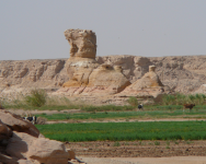 Steinernes Kamel (Dakhla-Kharga, Westliche Wüste)