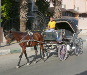 Hauptort Medinat Al-Fayoum (Oase Al-Fayoum, Nil-Tal)