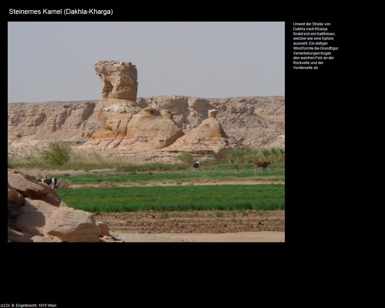 Steinernes Kamel (Dakhla-Kharga, Westliche Wüste) in Kulturatlas-ÄGYPTEN