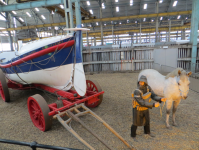 RNLI III (Chatham in Medway, England)