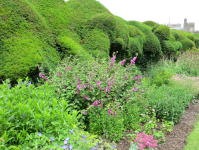 Walmer Castle and Gardens/Burg und Schlossgarten II (Deal, England)