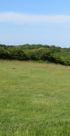 Seven Sisters Country Park (Eastbourne, England )