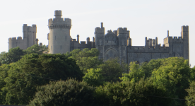 Arundel Castle  (Arundel, England)