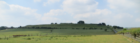 Old Sarum II (Salisbury, England)