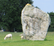 Stone Circles/Steinkreise (Avebury, England)