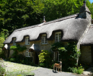 Strohgedeckte Häuser (Buckland-in-the-Moor) (Dartmoor, England)