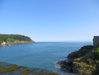 Dartmouth Castle II - Kanonenturm  (Dartmouth, England)