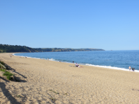 Slapton Time Line  (Slapton in der Region South Hams, England)