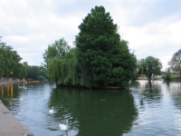 River Thames|Themse (Windsor, England)