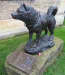 The Polar Museum (Cambridge, England)