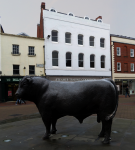 Marktplatz    (Hereford, England)