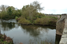 Wye-Tal (Ross-on-Wye, England)