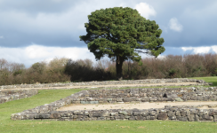 Römische Ausgrabung Segontium (Caernarfon) (Caernarfon, Wales)