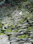 Pilgrims Cross  (Nevern, Wales)