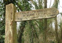 Pilgrims Cross  (Nevern, Wales)