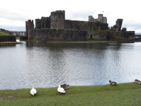 Caerphilly castle I (Caerphilly, Wales)