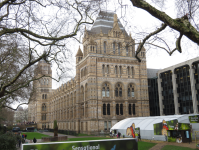 Natural History Museum (London, England)