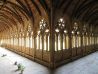 Lincoln Cathedral III  (Lincoln, England)