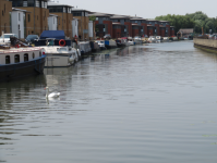 River Witham  (Lincoln, England)