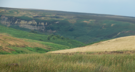 North York Moors National Park  (Helmsley, England )