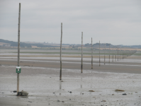 The Holy Island of Lindisfarne III  (Lindisfarne, England)