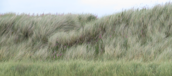 The Holy Island of Lindisfarne II  (Lindisfarne, England)