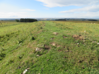 Mithras-Heiligtum (Carrowburgh) (Newbrough, England)