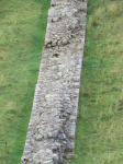 Hadrianswall I (Newbrough, England)