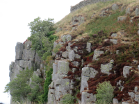 Steel Rigg (Once Brewed) (Bardon Mill, England)