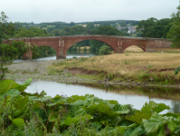 River Eden (Lazonby) (Little Salkeld, England)