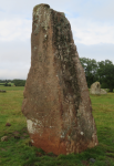 Long Meg and her Daughters  (Little Salkeld, England)