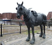 Pferd-Denkmal   (Liverpool, England)