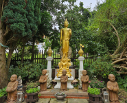 Wimbledon Buddhapadipy Temple (London, England)