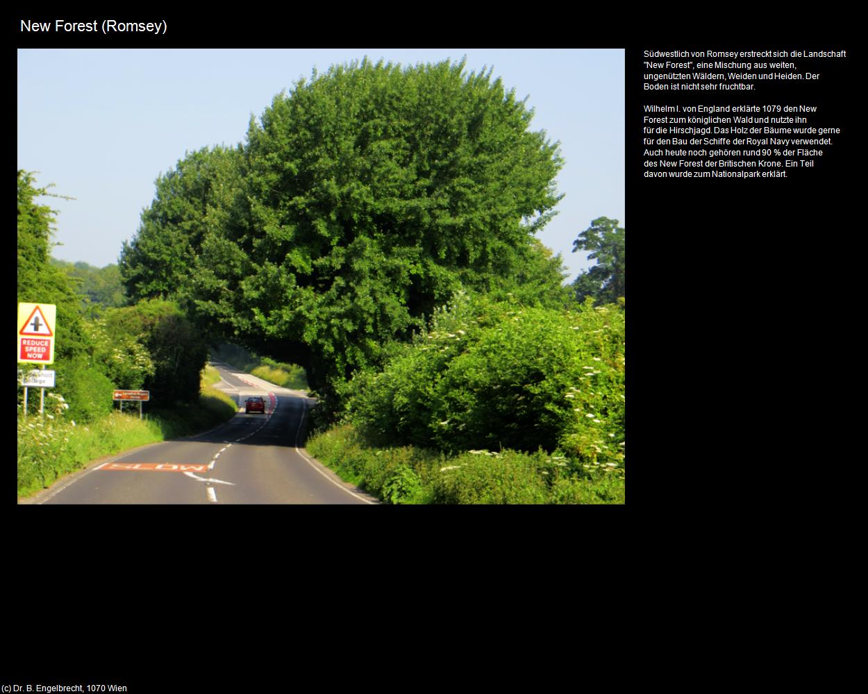 New Forest  (Romsey, England) in Kulturatlas-ENGLAND und WALES