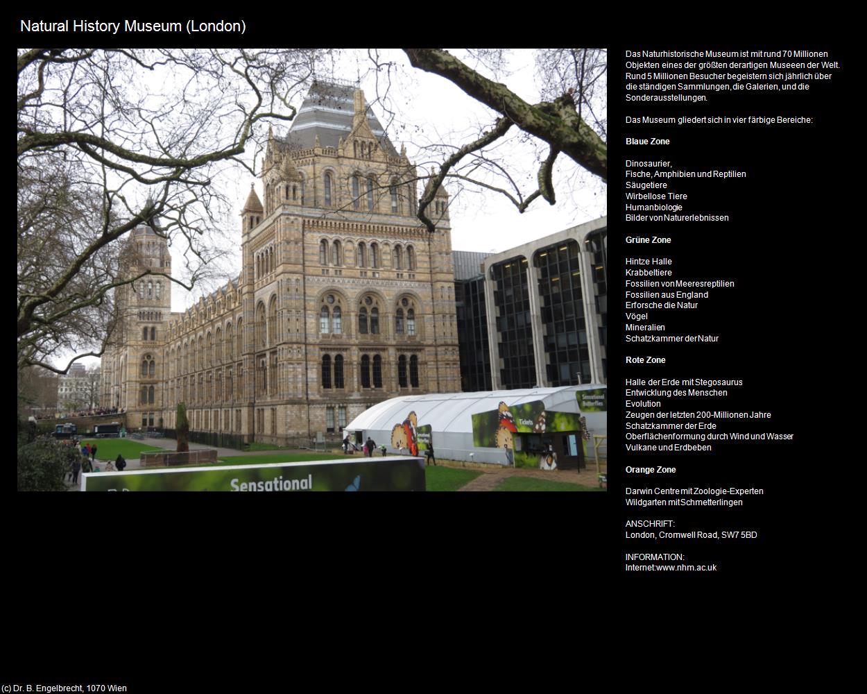 Natural History Museum (London, England) in Kulturatlas-ENGLAND und WALES