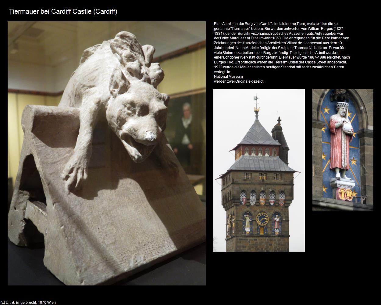 Tiermauer bei Cardiff Castle  (Cardiff, Wales) in Kulturatlas-ENGLAND und WALES(c)B.Engelbrecht