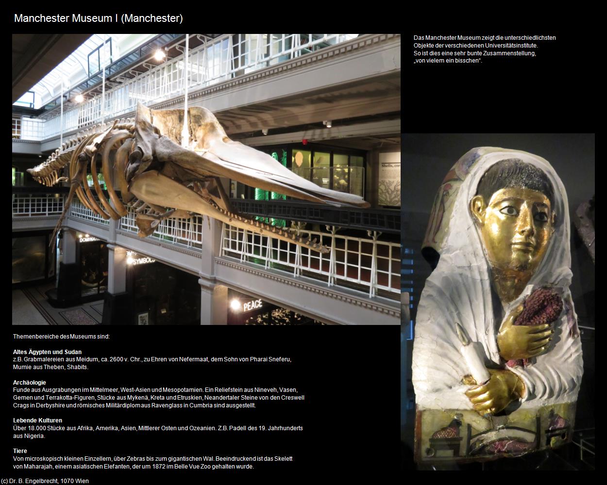 Manchester Museum I   (Manchester, England  ) in Kulturatlas-ENGLAND und WALES