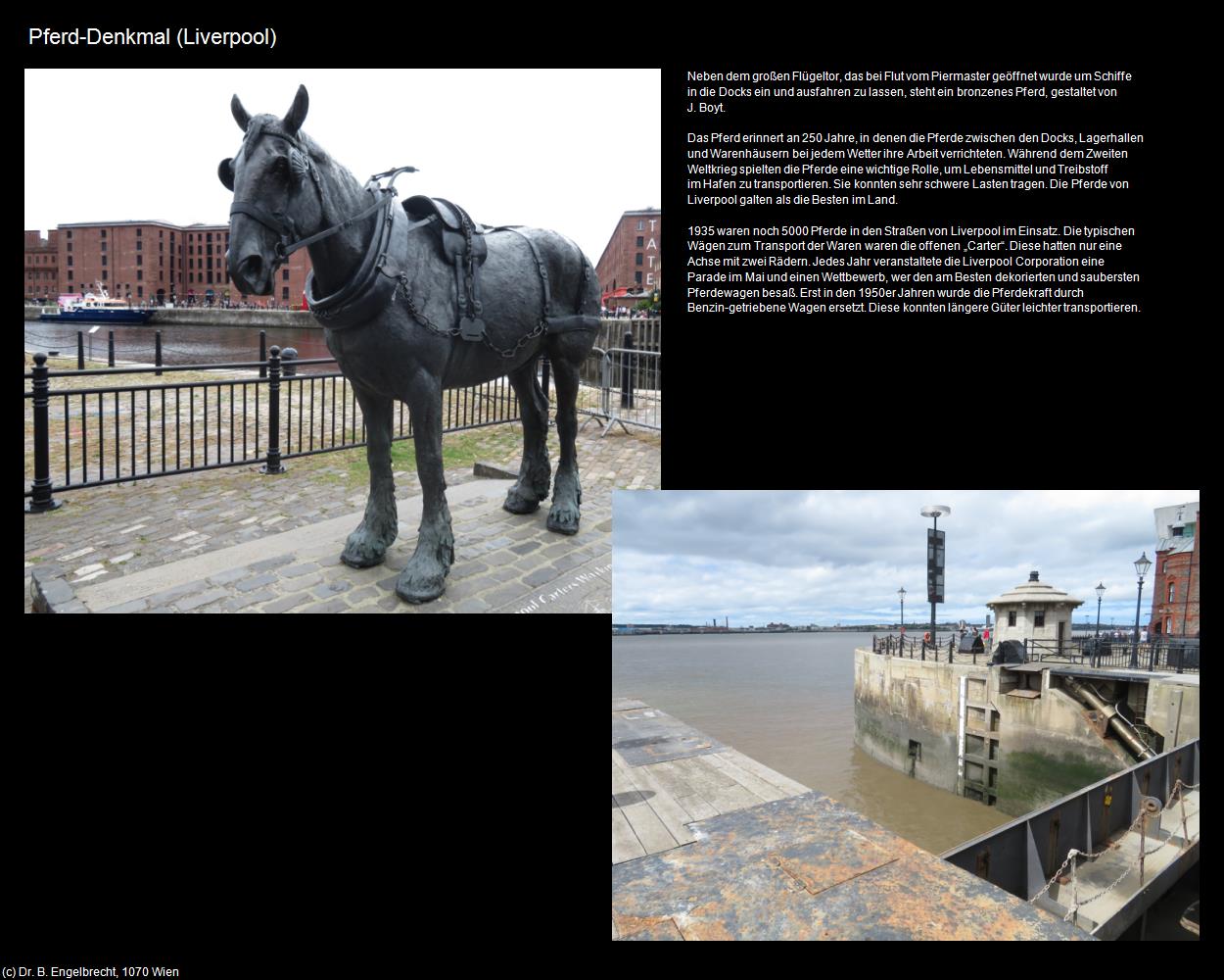 Pferd-Denkmal   (Liverpool, England) in Kulturatlas-ENGLAND und WALES