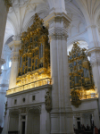 Cathedral Santa Maria de la Encarnacion II (Granada)