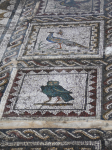 Italica - Mosaike (Santiponce)