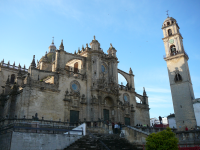 Colegiata de San Salvador (Jerez de la Frontera)