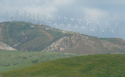 Wind (Tarifa)