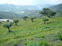 Castillo de Agilla und der Moriskenaufstand (Gaucín)