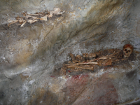 Cueva de la Pileta  (Benaoján)