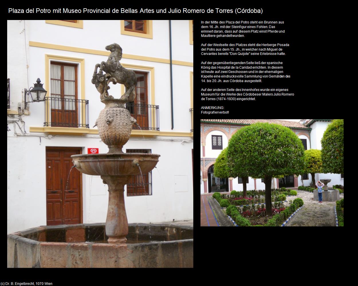 Plaza del Potro/Museo Provincial de Bellas Artes und Julio Romer (Córdoba) in Kulturatlas-SPANIEN-ANDALUSIEN