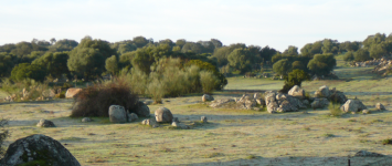 Landschaft (Jerez de los Caballeros)