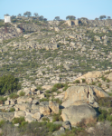 Steinlandschaft (San Vicente de Alcantara)