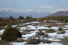 Sierra de Gata und Sierra de Gredos  (Cordillera Central)