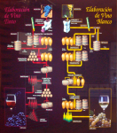 Weinbau III - Gärung (Valdepenas (ESP-CM))