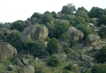 Felsen/Museo de la Naturaleza (El Barraco (ESP-CL) )